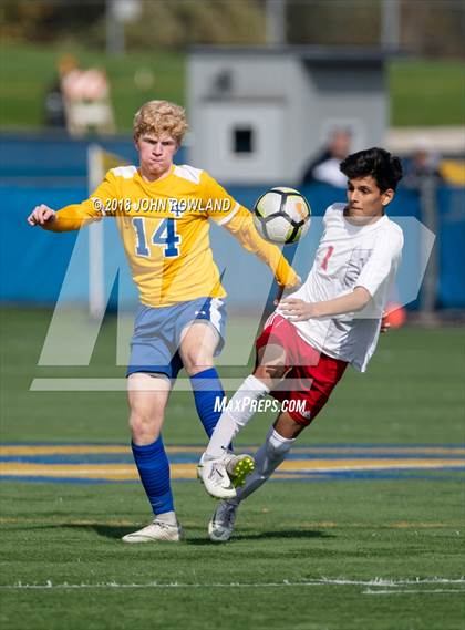 Thumbnail 3 in Palatine @ Lake Forest (IHSA 3A Regional Quarterfinal) photogallery.