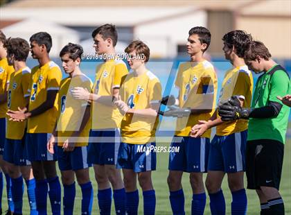 Thumbnail 3 in Palatine @ Lake Forest (IHSA 3A Regional Quarterfinal) photogallery.