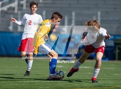 Thumbnail 3 in Palatine @ Lake Forest (IHSA 3A Regional Quarterfinal) photogallery.