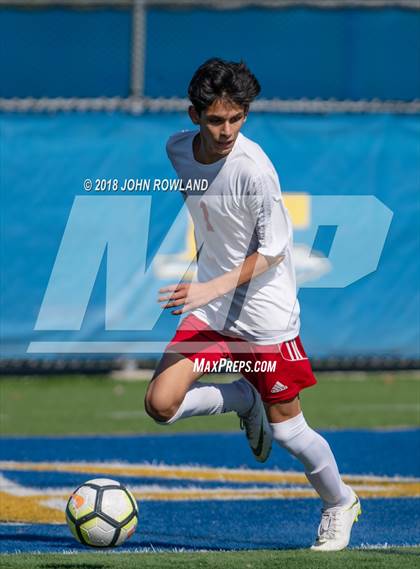 Thumbnail 3 in Palatine @ Lake Forest (IHSA 3A Regional Quarterfinal) photogallery.