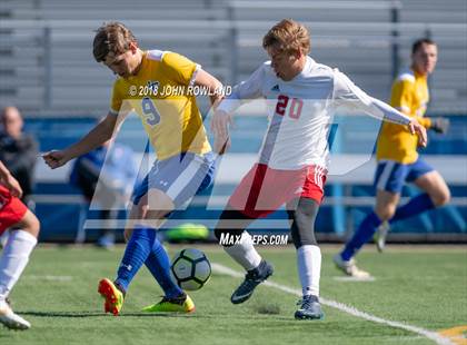 Thumbnail 1 in Palatine @ Lake Forest (IHSA 3A Regional Quarterfinal) photogallery.