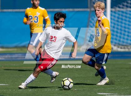 Thumbnail 3 in Palatine @ Lake Forest (IHSA 3A Regional Quarterfinal) photogallery.