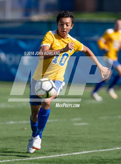 Thumbnail 2 in Palatine @ Lake Forest (IHSA 3A Regional Quarterfinal) photogallery.