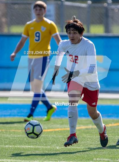 Thumbnail 3 in Palatine @ Lake Forest (IHSA 3A Regional Quarterfinal) photogallery.