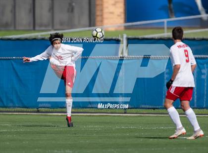 Thumbnail 3 in Palatine @ Lake Forest (IHSA 3A Regional Quarterfinal) photogallery.