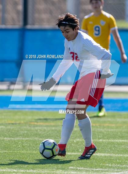 Thumbnail 1 in Palatine @ Lake Forest (IHSA 3A Regional Quarterfinal) photogallery.