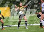 Photo from the gallery "Spring Creek @ Cottonwood"