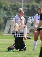 Photo from the gallery "Spring Creek @ Cottonwood"