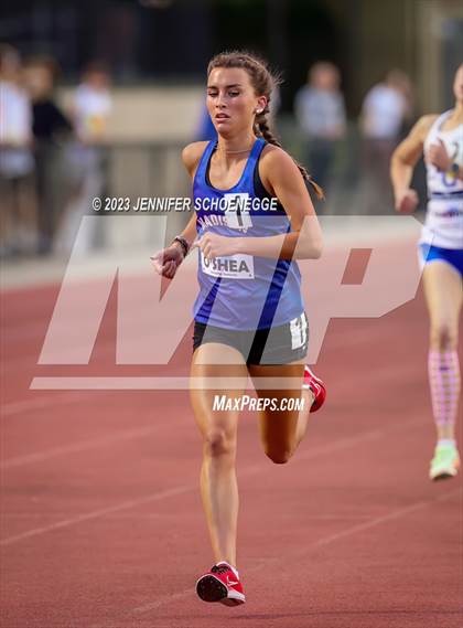 Thumbnail 1 in Kentucky Dream Mile photogallery.