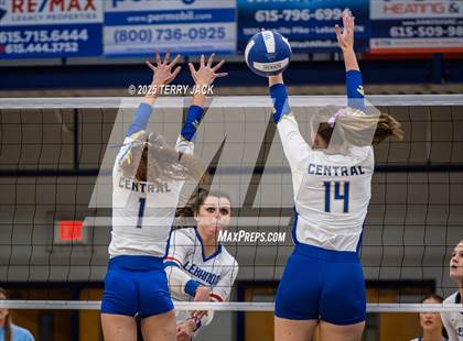 Thumbnail 3 in Lebanon @ Wilson Central photogallery.