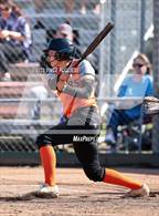 Photo from the gallery "Centralia @ Tumwater"
