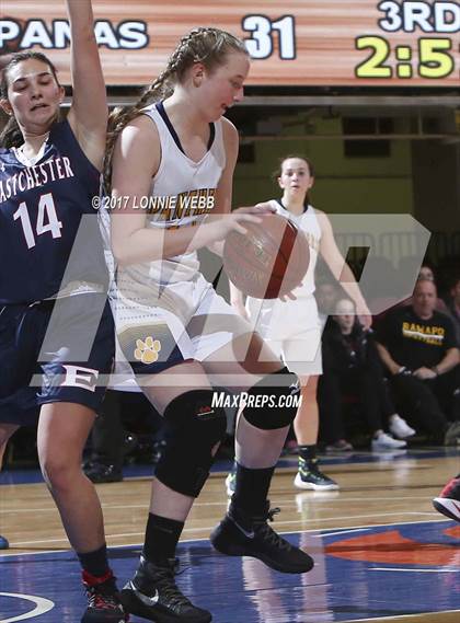 Thumbnail 3 in Walter Panas vs Eastchester (Section 1 Class A Semifinal) photogallery.