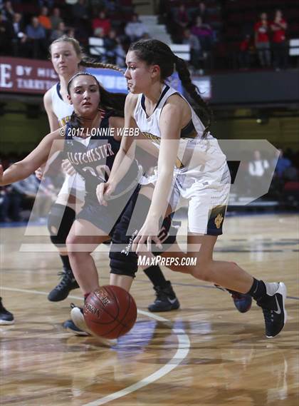 Thumbnail 1 in Walter Panas vs Eastchester (Section 1 Class A Semifinal) photogallery.