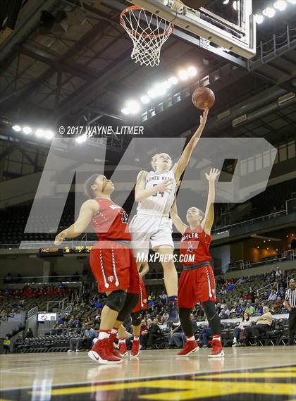 Thumbnail 1 in Butler vs Sacred Heart (KHSAA Sweet Sixteen Tournament) For editorial use only photogallery.