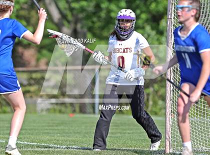 Thumbnail 3 in Glastonbury @ South Windsor photogallery.