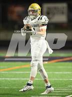 Photo from the gallery "West Albany @ Dallas (OHSAA 5A Quarterfinal)"