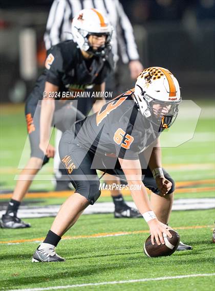 Thumbnail 1 in West Albany @ Dallas (OHSAA 5A Quarterfinal) photogallery.