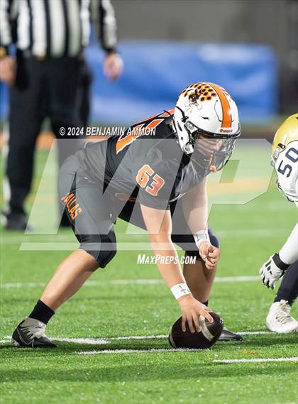 Thumbnail 1 in West Albany @ Dallas (OHSAA 5A Quarterfinal) photogallery.