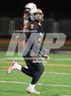Photo from the gallery "West Albany @ Dallas (OHSAA 5A Quarterfinal)"