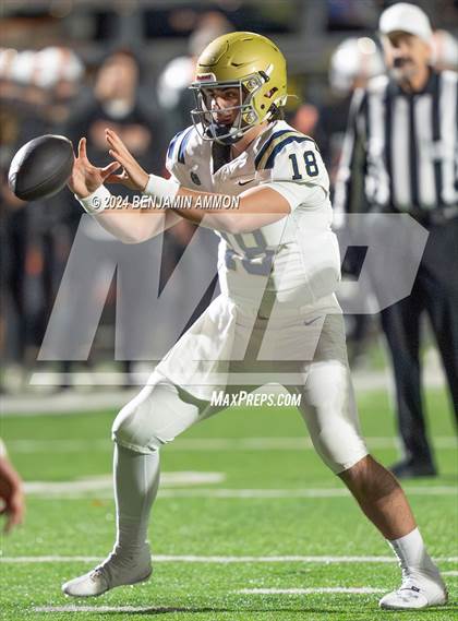 Thumbnail 3 in West Albany @ Dallas (OHSAA 5A Quarterfinal) photogallery.