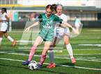 Photo from the gallery "Burlington Township @ Camden Catholic"