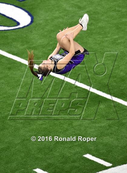 Thumbnail 1 in Independence @ Reedy photogallery.