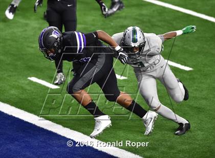 Thumbnail 2 in Independence @ Reedy photogallery.