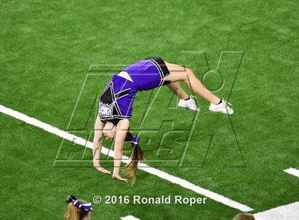 Thumbnail 3 in Independence @ Reedy photogallery.