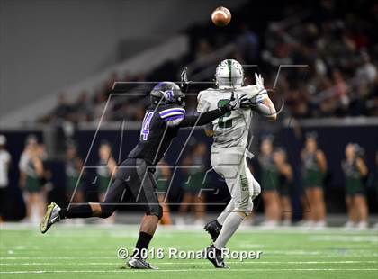 Thumbnail 1 in Independence @ Reedy photogallery.