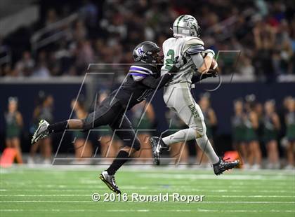 Thumbnail 2 in Independence @ Reedy photogallery.