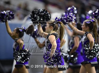 Thumbnail 3 in Independence @ Reedy photogallery.