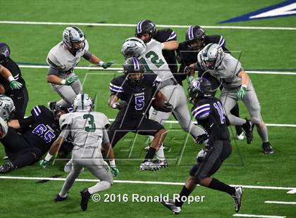 Thumbnail 3 in Independence @ Reedy photogallery.