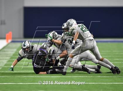 Thumbnail 2 in Independence @ Reedy photogallery.