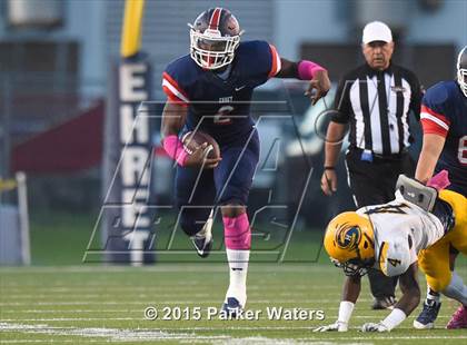 Thumbnail 1 in H.L. Higgins @ John Ehret photogallery.