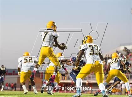 Thumbnail 2 in H.L. Higgins @ John Ehret photogallery.