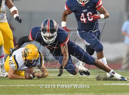 Thumbnail 2 in H.L. Higgins @ John Ehret photogallery.