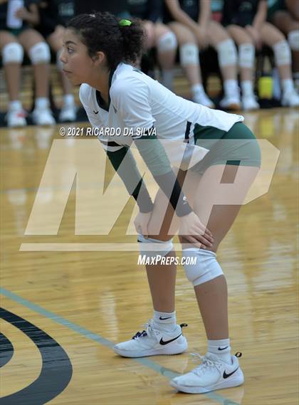 Thumbnail 2 in Mayde Creek vs Fort Bend Bush photogallery.