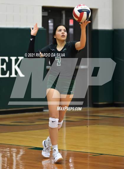 Thumbnail 2 in Mayde Creek vs Fort Bend Bush photogallery.