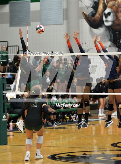 Thumbnail 1 in Mayde Creek vs Fort Bend Bush photogallery.