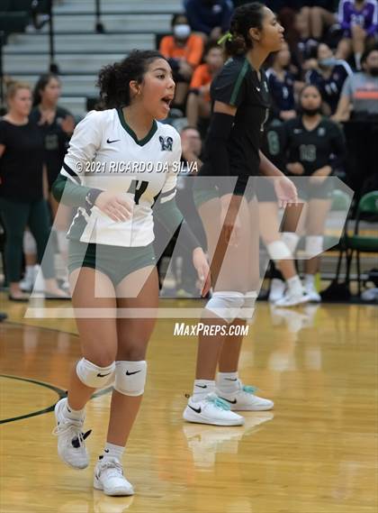 Thumbnail 1 in Mayde Creek vs Fort Bend Bush photogallery.