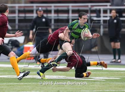 Thumbnail 2 in Medina @ Avon Lake photogallery.