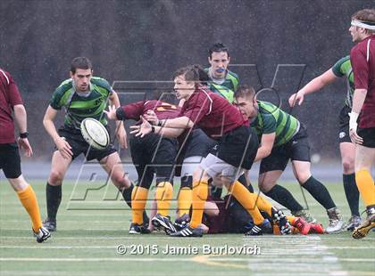 Thumbnail 2 in Medina @ Avon Lake photogallery.