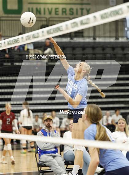 Thumbnail 1 in Springville vs. Salem Hills (UHSAA 5A Quarterfinal Loss) photogallery.