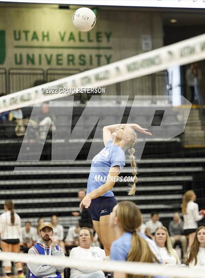 Thumbnail 3 in Springville vs. Salem Hills (UHSAA 5A Quarterfinal Loss) photogallery.