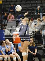 Photo from the gallery "Springville vs. Salem Hills (UHSAA 5A Quarterfinal Loss)"