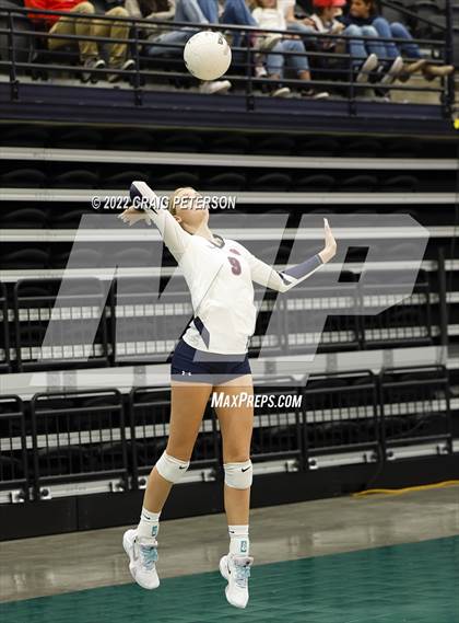 Thumbnail 3 in Springville vs. Salem Hills (UHSAA 5A Quarterfinal Loss) photogallery.