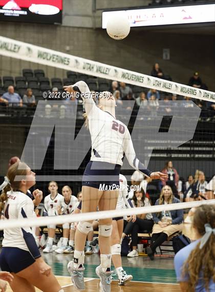Thumbnail 2 in Springville vs. Salem Hills (UHSAA 5A Quarterfinal Loss) photogallery.