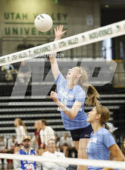 Thumbnail 1 in Springville vs. Salem Hills (UHSAA 5A Quarterfinal Loss) photogallery.