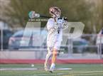 Photo from the gallery "Oak Park @ Crespi"