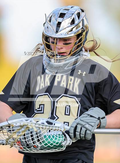 Thumbnail 1 in Oak Park @ Crespi photogallery.